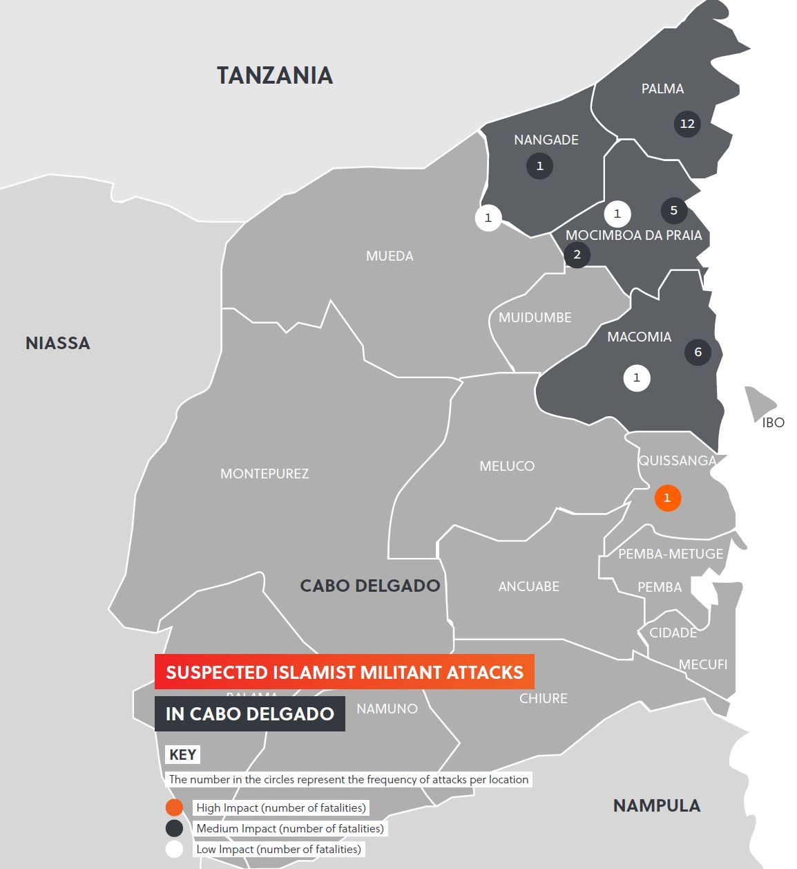 Mozambique militancy